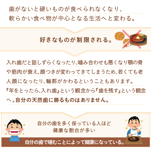 歯がないと硬いものが食べられなくなり、軟らかい食べ物が中心となる生活へと変わる。    好きなものが制限される。  入れ歯だと話しずらくなったり、噛み合わせも悪くなり顎の骨や筋肉が衰え、顔つきが変わってきてしまうため、若くても老人顔になったり、輪郭がかわるということもあります。 『年をとったら、入れ歯』という観念から『歯を残す』という観念へ。 自分の天然歯に勝るものはありません。    自分の歯を多く保っている人ほど健康な割合が多い  自分の歯で噛むことによって健康になっている。